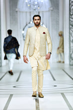 Load image into Gallery viewer, BCW PC 50 Gols Front open Prince Coat