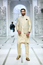 Load image into Gallery viewer, BCW PC 50 Gols Front open Prince Coat