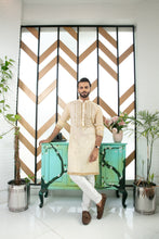 Load image into Gallery viewer, ER MR 37 Gold Mirror Embroidery Kurta Pajama