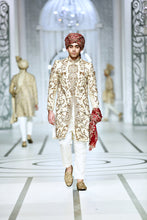 Load image into Gallery viewer, BCW 33 Sherwani Design