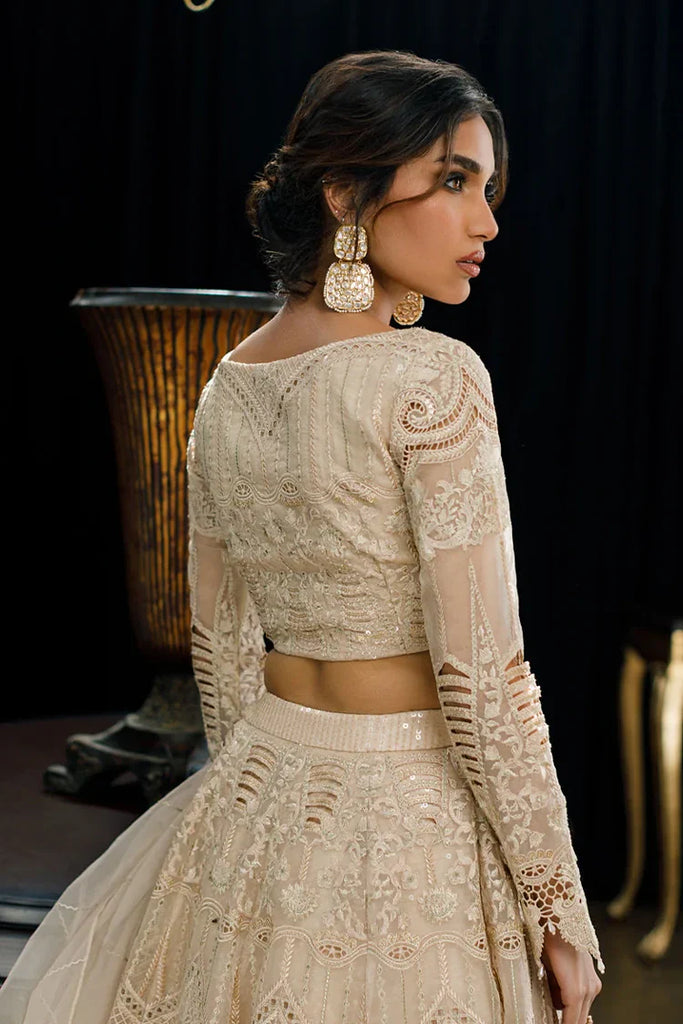 Threads & Motifs - Organza Embroidered Blouse And Skirt