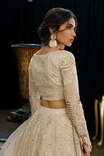 Load image into Gallery viewer, Threads &amp; Motifs - Organza Embroidered Blouse And Skirt