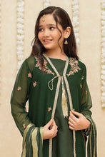 Load image into Gallery viewer, Chiffon 3 Piece Green Suit | 8765