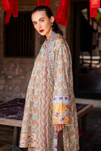 Load image into Gallery viewer, Roheenaz - RNB-09B Laleh Taneez Block Printed Lawn Collection