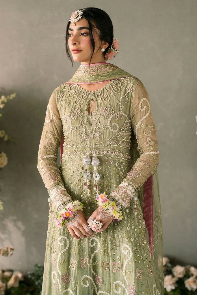 Mushq - Mastani Luxury Chiffon Collection - MUNCH 2401 10 Namar - Unstitched