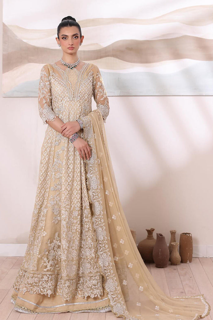 Noor by Saadia Asad - Chiffon De Luxe Collection - D1 Nura - Unstitched