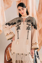 Load image into Gallery viewer, Asifa &amp; Nabeel - Winter Meraki Collection Vol 1 - Cascade-MW-13 - Unstitched