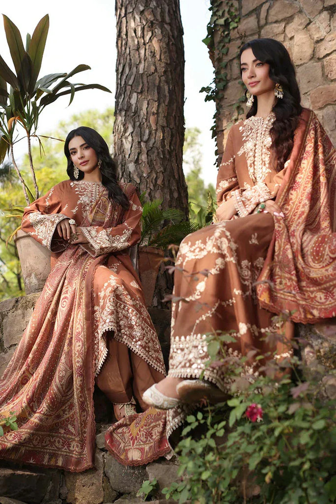 Noor by Saadia Asad - Noor Suzaanikari Winter Shawl Collection - 09 Doon - Unstitched