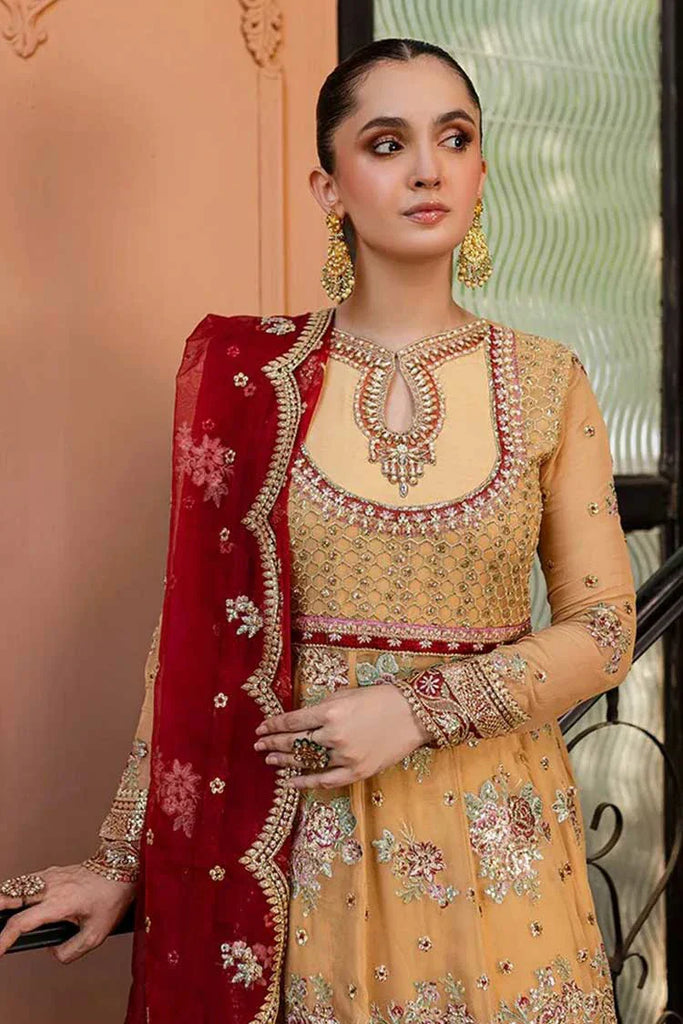 Roheenaz - Naira Festive Chiffon Collection - 07 Aylin - Unstitched