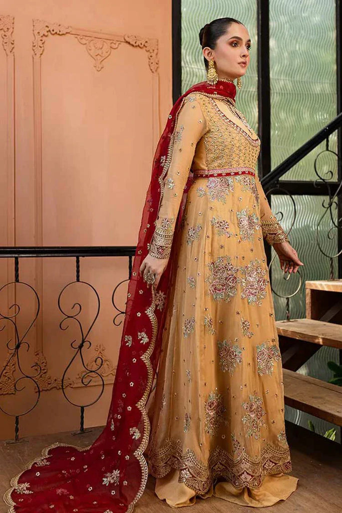 Roheenaz - Naira Festive Chiffon Collection - 07 Aylin - Unstitched