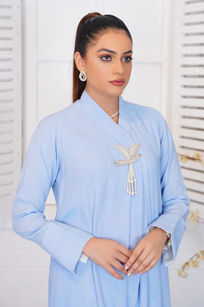 Anayra Amal - Ibtida RTW Collection - Sky Blue - 2 PC - Subh-e-Nau