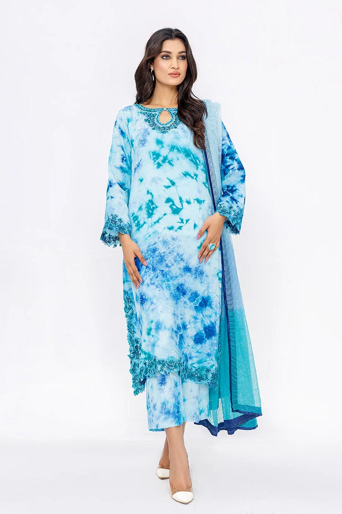 Anayra Amal - Riwayat RTW Collection - 3 PC - Aabshaar