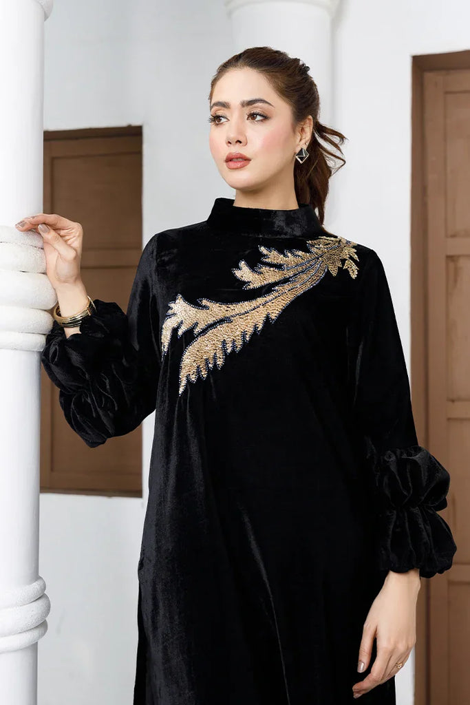 Anayra Amal - Parwaan RTW Collection - 2 PC - Sitara