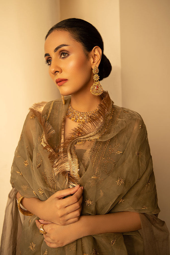 Ahmad Raza - Aaghaz Pret Collection - Beyza