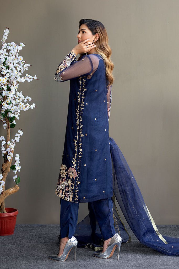 Ahmad Raza - Afsana Pret Collection - AR2054