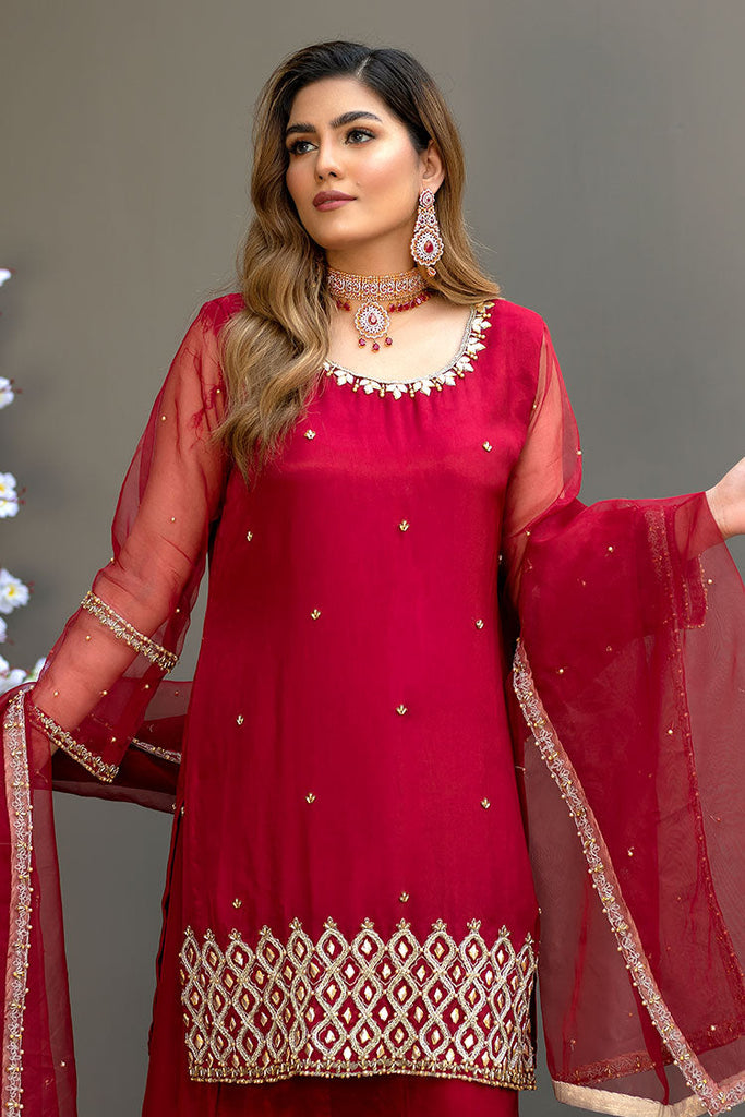 Ahmad Raza - Afsana Pret Collection - AR2056