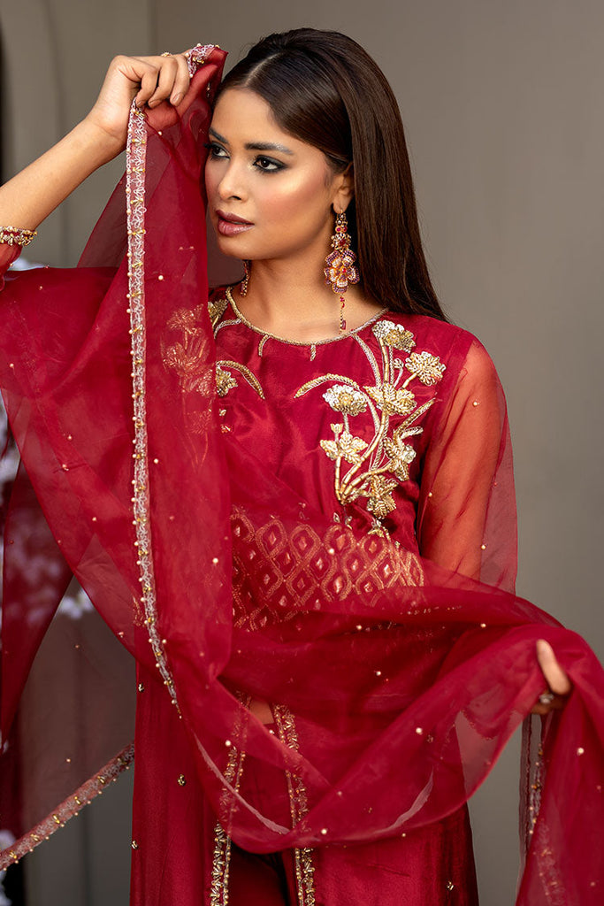 Ahmad Raza - Afsana Pret Collection - AR2057