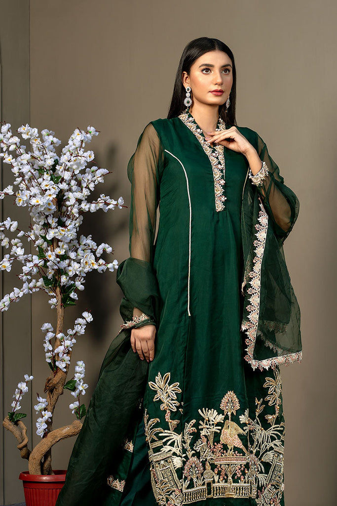 Ahmad Raza - Afsana Pret Collection - AR2060