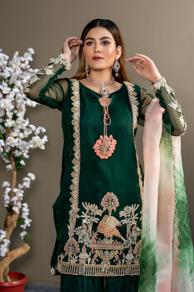 Ahmad Raza - Afsana Pret Collection - AR2061