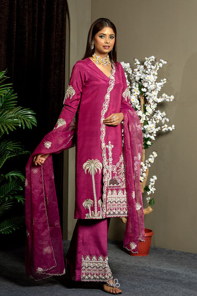 Ahmad Raza - Afsana Pret Collection - AR2062