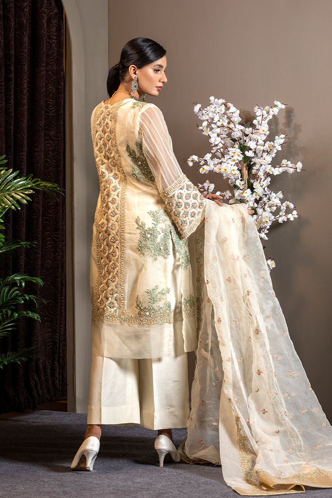 Ahmad Raza - Afsana Pret Collection - AR2065