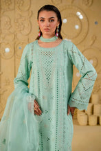 Load image into Gallery viewer, Nureh - Exclusive Embroidered Karandi Collection Vol 1 - NE-134 - Unstitched