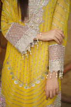 Load image into Gallery viewer, Ayat - Dhanak Luxury Pret Collection - Gulzar