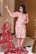 Load image into Gallery viewer, Ayat - Haseen RTW Collection - Sidra