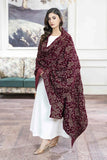 Hadia Batool - Parizad Collection - Meena Shawl