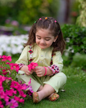 Load image into Gallery viewer, Bougainvillea