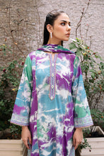 Load image into Gallery viewer, 2 Piece - Embroidered Textured Lawn Suit P1092A