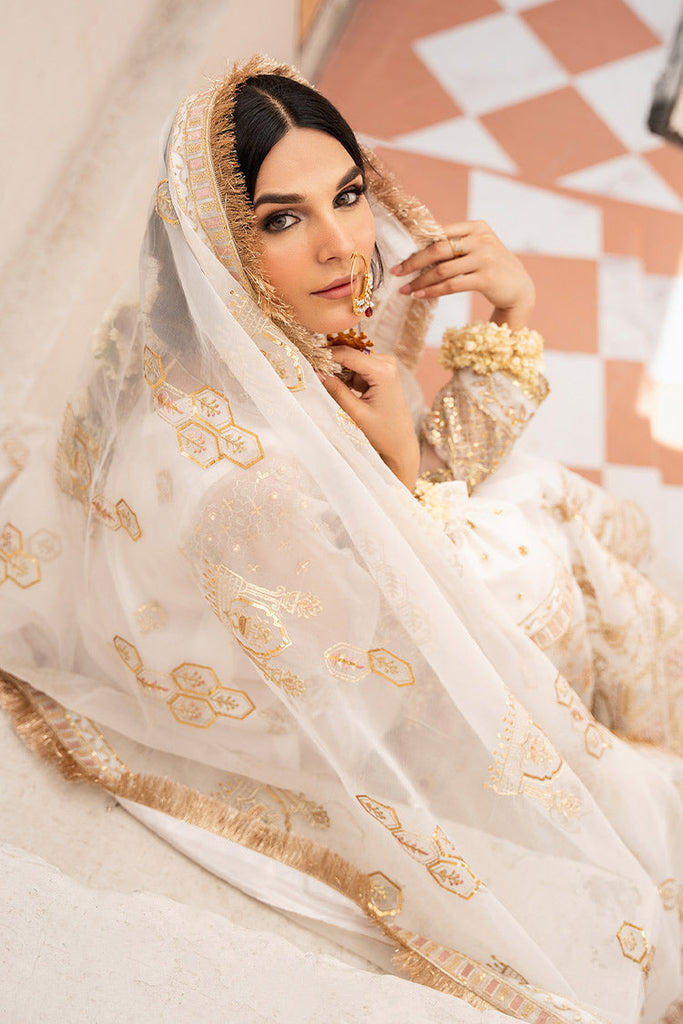 Rajwani - Aghaz Luxury Formal Collection - Chandani