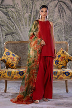 Load image into Gallery viewer, Amber Imran - Punkh Luxury Formals - Raw Allure