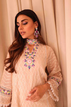 Load image into Gallery viewer, RJS Pret - Umeed Luxury Pret Collection - Spring Gate