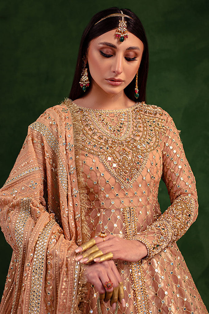 Maria Osama Khan - Salma Sitara Luxury Formals - Vasl