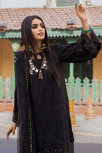 Load image into Gallery viewer, Nureh - NS 53 Bazaar Embroidered Lawn Collection Vol 3