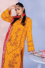 Load image into Gallery viewer, Lala - Design 08 Brocade Exclusive Embroidered Palachi Collection