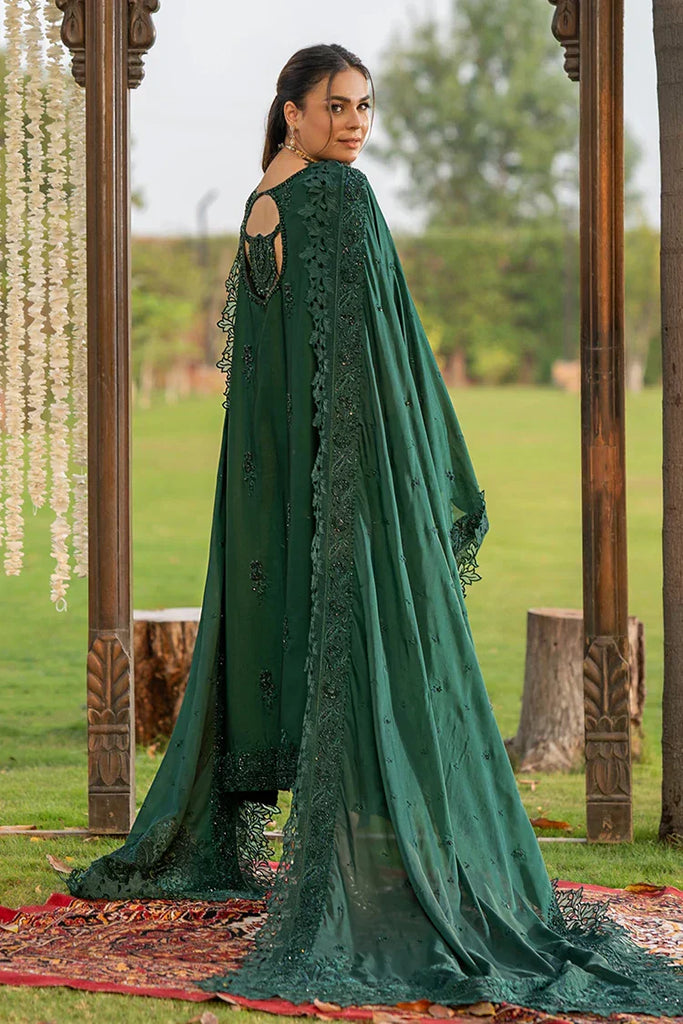 Zaib un Nisa - Formals Pret Collection - Darwish